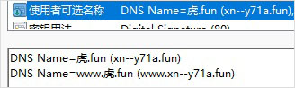 中文域名与中文域名SSL证书