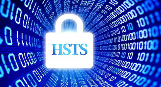 HSTS is Zero Trust for HTTP