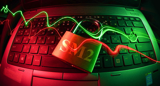 国密证书透明，保障国密SSL证书安全