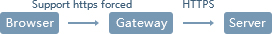 Support https-only forced